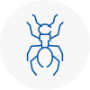 Ant Removals In Forfar