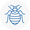 Bed Bug Extermination In Forfar