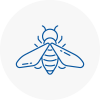 Bee Nest Removal Forfar