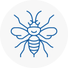 Forfar Hornet Nest Removals