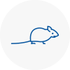 Mice Exterminators In Forfar