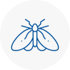 Moth Control Specialists In Forfar