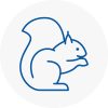 Forfar Rodent Removals